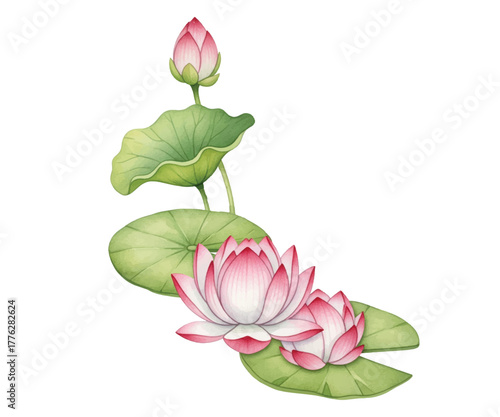 Adobe Illustrator Artwork