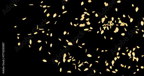 Yellow tulip flower petals sway in the wind. Isolated on black background. 4K 3D rendering animation.