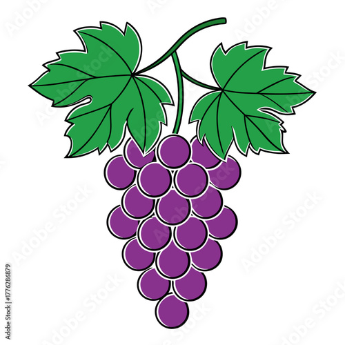 A bunch of vibrant purple grapes with green leaves, a healthy and delicious fruit illustration