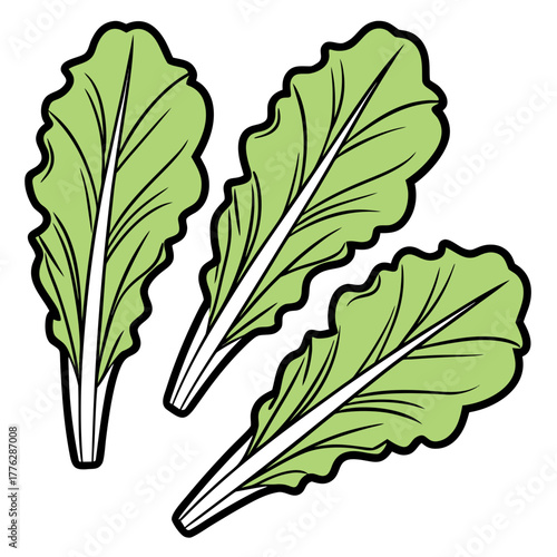 Set of three vibrant green lettuce leaves in a cartoon vector style. Isolated organic vegetable illustration for healthy food and diet concepts