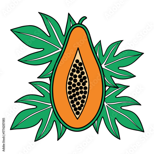 Colorful tropical papaya illustration, halved to show vibrant orange flesh and black seeds, elegantly framed by green leaves, representing exotic fruit and healthy eating