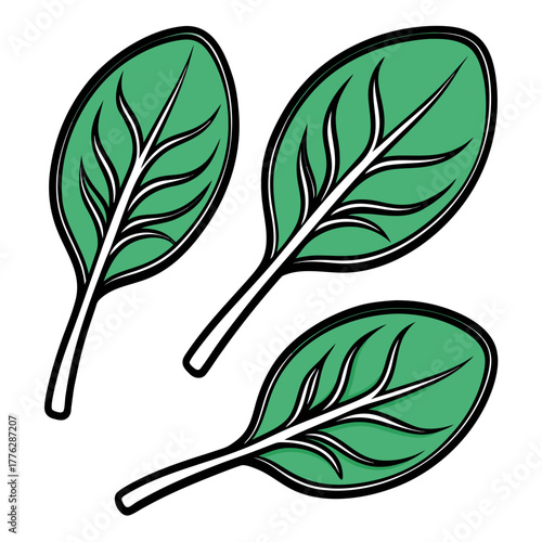 Illustrative depiction of three fresh spinach leaves, showcasing healthy produce and natural ingredients, ideal for promoting nutritious food concepts and a balanced diet