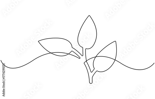 One line continuous leaves single line drawing.