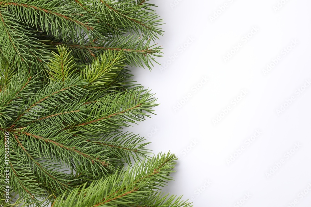 Fototapeta premium Christmas tree branches on white background, flat lay. Space for text