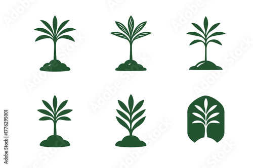 Palm Sapling Logos. Palm sapling. Set Logo of Palm sapling: young palm sprout in soil. harmonious logo variations of the same emblematic concept, each with
