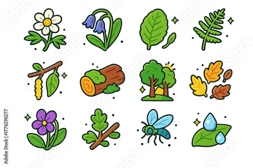 Forest Blossoms Icons. Forest edge blossoms. Colorful isometric vector icons set of Forest edge blossoms: wood anemone, bluebell cluster, primrose leaf, fern