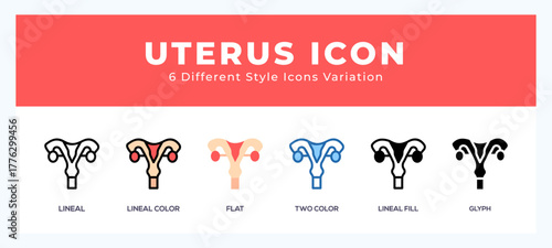 Uterus icon set. vector illustration.
