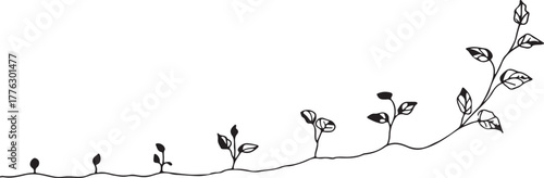 Seed to sprout growth stages line art silhouette, minimal black and white seedlings evolving along a timeline, concept.