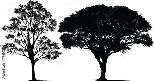 Monochrome silhouette of two deciduous trees on grassy horizon, sparse and dense canopies contrasting against white sky.