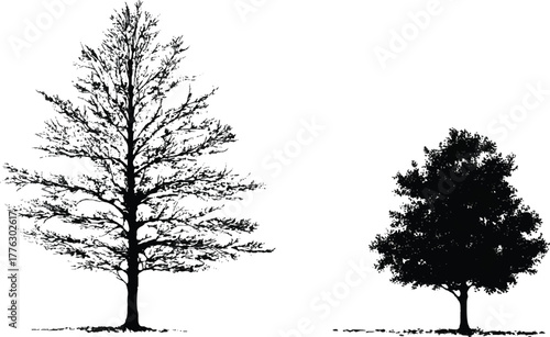 Monochrome silhouette of two deciduous trees on grassy horizon, sparse and dense canopies contrasting against white sky.