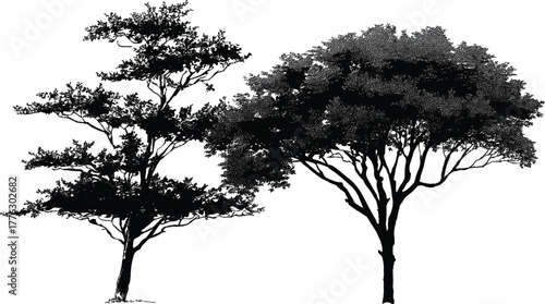 Monochrome silhouette of two deciduous trees on grassy horizon, sparse and dense canopies contrasting against white sky.