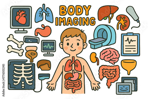 Colorful Body Imaging Icons. body imaging. Colorful Hand-drawn doodle Children illustration body imaging heart, lungs, liver, kidneys, stomach, intestines,