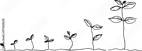 Seed to sprout growth stages line art silhouette, minimal black and white seedlings evolving along a timeline, concept.