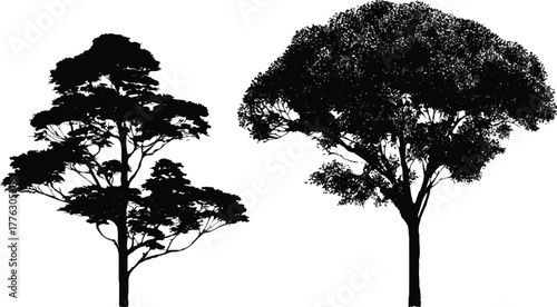Monochrome silhouette of two deciduous trees on grassy horizon, sparse and dense canopies contrasting against white sky.