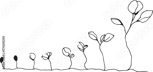Seed to sprout growth stages line art silhouette, minimal black and white seedlings evolving along a timeline, concept.