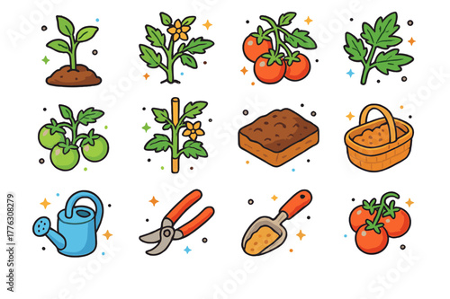 Tomato Plant Icons. Tomato plant. Colorful isometric vector icons set of Tomato plant: young tomato seedling, flowering tomato vine, ripe red tomato cluster,
