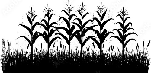 Silhouette of a cornfield with grass in the foreground isolated on transparent background
