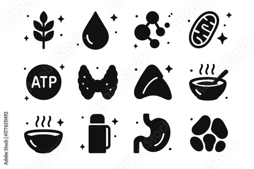 Body Warmth Energy Icons. Energy sources for body warmth. Solid icons set of Energy sources for body warmth: carbohydrates icon, fats droplet, proteins,