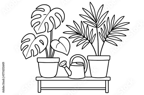 Tropical Plant Coloring Fun. Indoor tropical plants children?s coloring book illustration, outlined drawing, potted monstera and palm with a watering can on a