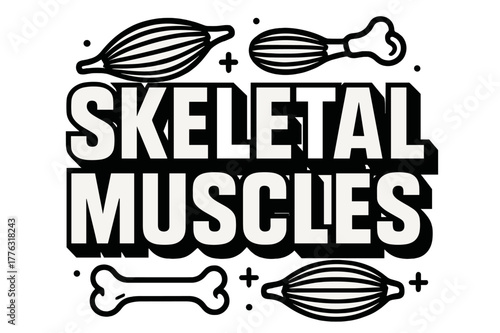 Skeletal Muscles Typography. Bold Block Lettering ? "Skeletal Muscles" in massive bold geometric letters, stacked block composition, heavy outlines with subtle