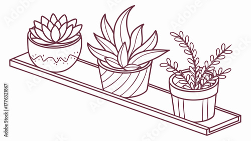Elegant outline of three potted plants on a shelf, a serene botanical illustration, perfect for adding a touch of nature and tranquility to your design projects