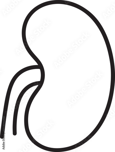 Stylized Kidney with Vessels