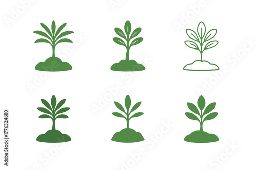 Palm Sapling Logos. Palm sapling. Set Logo of Palm sapling: young palm sprout in soil. harmonious logo variations of the same emblematic concept, each with