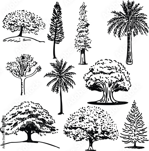 Hand-drawn tree collection illustration