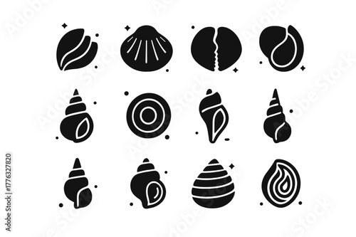 Shell Anatomy Icons. Scientific Study of Shells. Solid icons set of Scientific Study of Shells: periostracum, calcareous layer, umbo, hinge teeth, aperture,