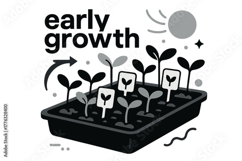 Sprouting Seedlings Vividly. Seeds ? Seedling Tray. Rows of neat sprouts under warm light; label tags with small leaves icon. Text ?early growth? in geometric