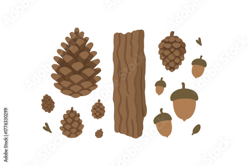 collection of tiny pinecones bark and acorns woodland calm theme no outline flat vector illustration style isolated on white background muted earthy hues