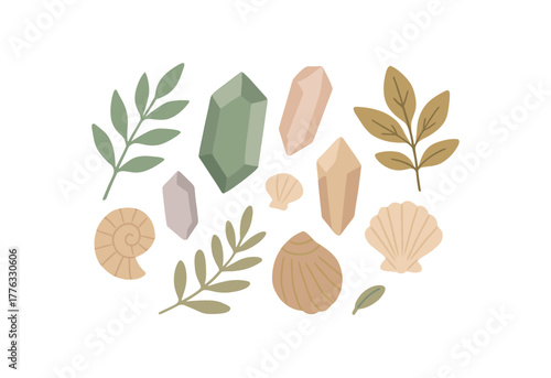 flat lay of crystals leaves and shells slow mindful energy no outline flat vector illustration style isolated on white background soft muted colors