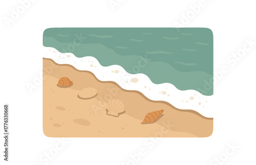 tide line with shells and foam natural beauty mindfulness of details no outline flat vector illustration style isolated on white background calm natural hues