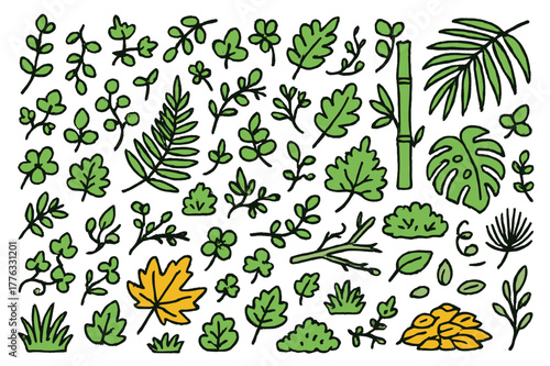 Colorful Leaf Doodle. Mixed leaves. Hand-drawn doodle illustration maple leaves (colored), oak leaves (colored), fern fronds (colored), ivy (colored), palm