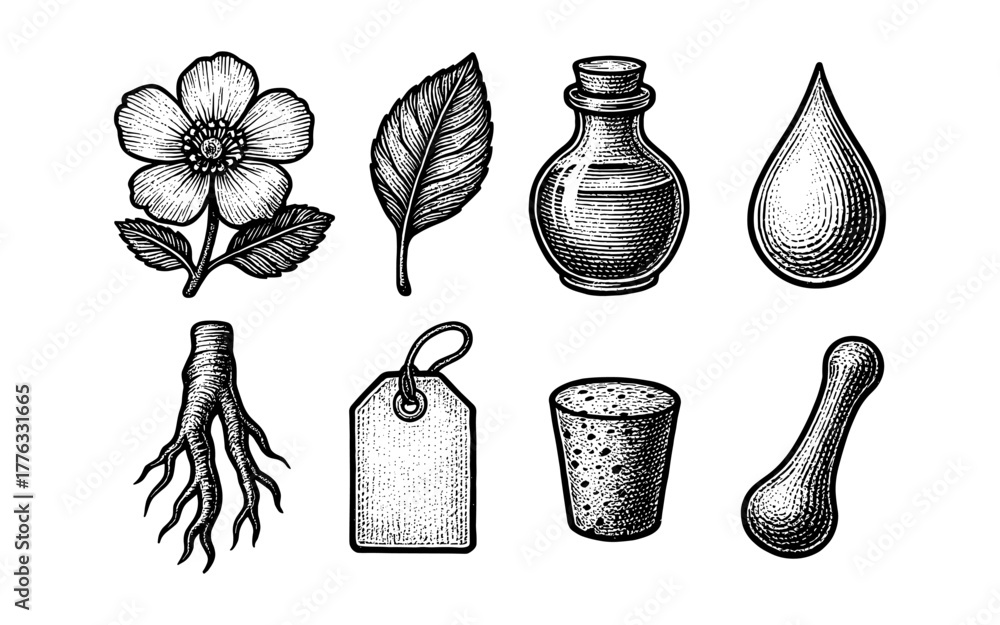 Obraz premium Vintage botanical and apothecary elements set in engraved style