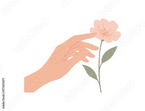 close up of hand touching flower tenderness and gentle feminine energy no outline flat vector illustration style isolated on white background light soft hues
