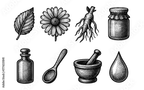 Vintage herbal apothecary icons: hand drawn botanical elements for natural remedies