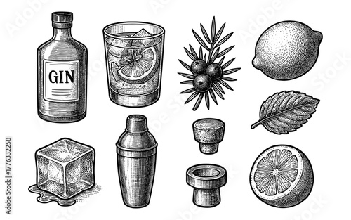 Hand-drawn gin cocktail elements with classic style for beverage design