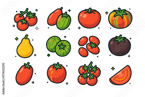 Colorful Tomato Varieties. Tomato varieties. Colorful isometric vector icons set of Tomato varieties: cherry tomatoes, plum tomatoes, beefsteak tomato,