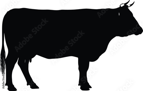 Silhouette of a cow standing on a white background in full profile