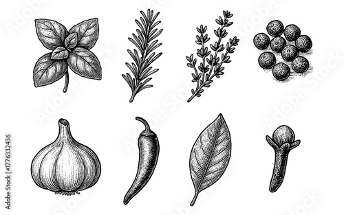 Engraved herb and spice set: rosemary, basil, clove, and more