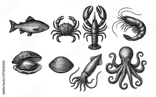 Detailed vintage marine life collection featuring sea creatures in monochrome engravings