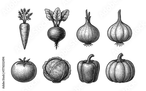 Vintage hand drawn vegetables collection: carrot, beets, onion, tomato, pepper, pumpkin