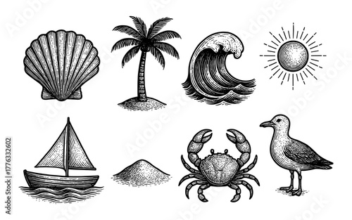 Vintage style beach elements: seashell, palm tree, ocean wave, sun, boat, crab, seagull