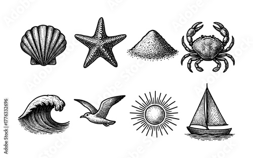 Hand drawn nautical collection featuring marine life and beach elements