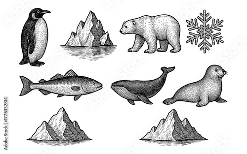 Hand drawn arctic wildlife and landscape elements featuring penguin, polar bear, and snowflake