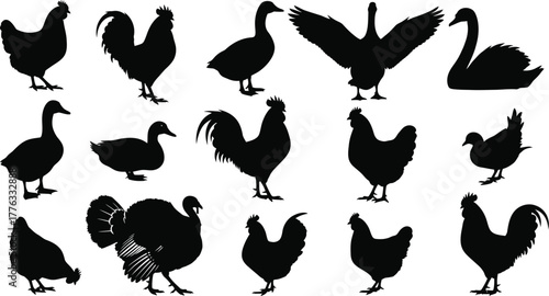 Various farm bird silhouettes including chicken duck goose and swan