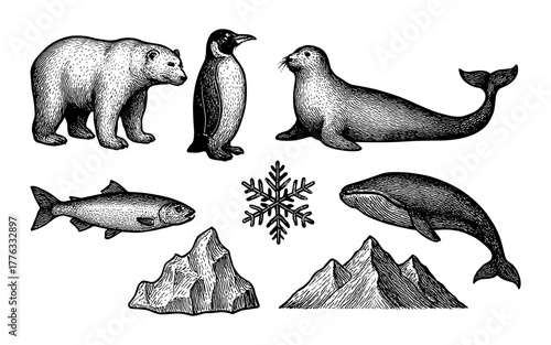 Detailed arctic wildlife and landscape set: vintage hand drawn animal and nature elements