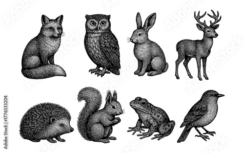 Intricate vintage animal sketches: owl, fox, rabbit, and more in black and white