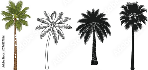 Palm tree vector illustration tropical trees design silhouette